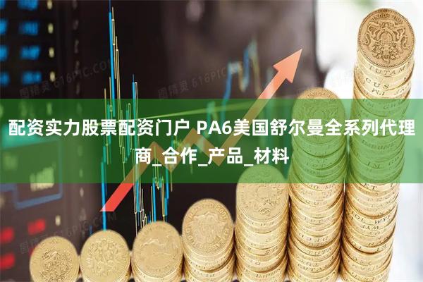 配资实力股票配资门户 PA6美国舒尔曼全系列代理商_合作_产品_材料