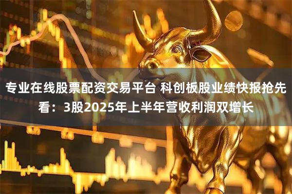 专业在线股票配资交易平台 科创板股业绩快报抢先看：3股2025年上半年营收利润双增长
